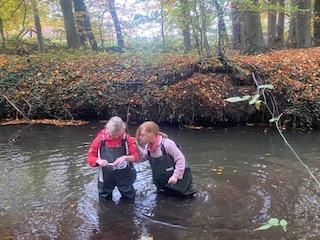 Mit Wathosen in der Wierau